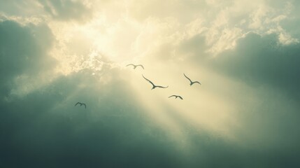 Obraz premium Overcast summer sky with gentle light breaking through, birds soaring peacefully 