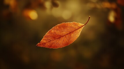 Obraz premium Captivating Single Orange Leaf Against Soft Blurred Background