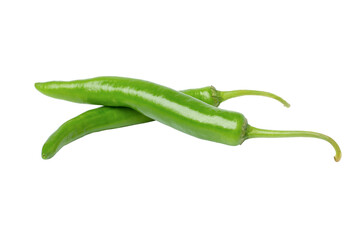 green chili pepper isolated