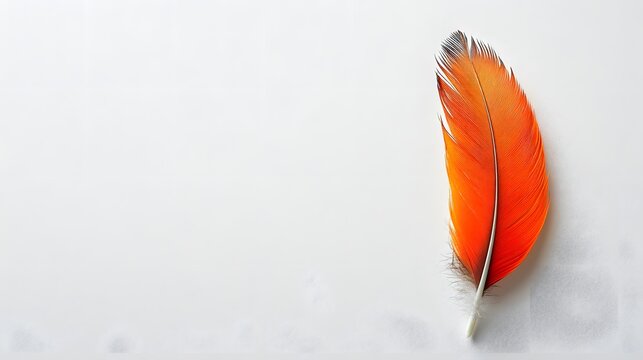 Fototapeta Delicate feather on a white background captured in a realistic photograph for native advertising strategy