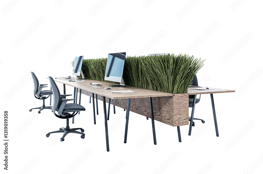 Poster office desk with grass planter divider, ergonomic chairs, and computers, isolated on white backgroun
