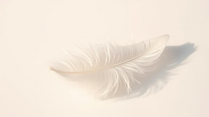 Obraz premium Delicate white feather floats gently on the surface, plume, clean