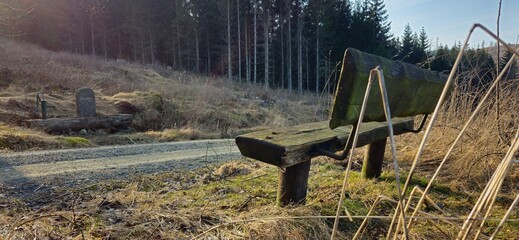 Bank am Henniborn im Frühling am Osthang des Goldbergs in der Nähe von Göttingerode, Landkreis...