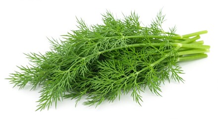 Fototapeta premium Fresh Dill Sprigs Isolated on White Background