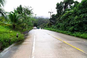 Rain-soaked road winding through the vibrant jungle of Koh Phangan, showcasing nature's beauty.