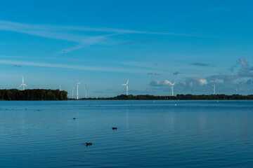 Windräder zur Stromgewinnung am Veluwemeer in der Abenddämmerung 