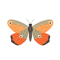 Beautiful vector butterfly in orange tones, flat style illustration