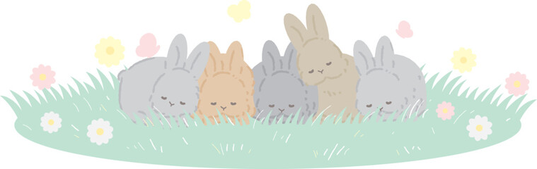 	草原で寄り添いあって眠るウサギたち
