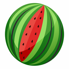 Watermelon  vector illustration 