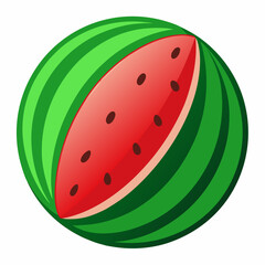 Watermelon  vector illustration 