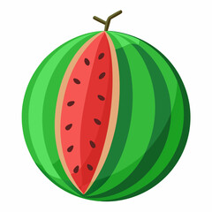 Watermelon  vector illustration 