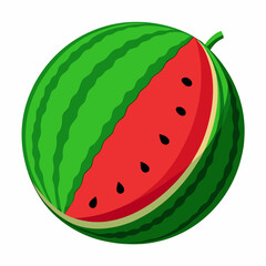 Watermelon  vector illustration 