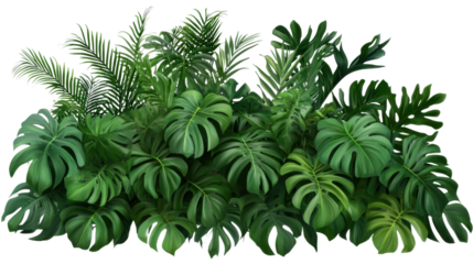 A dense, lush green tropical plant bush, cut out and isolated on a transparent background, with large, glossy leaves and vibrant shades of green