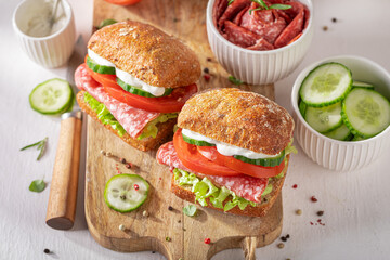 A homemade sandwich with salami, fresh vegetables, and smooth mayonnaise.