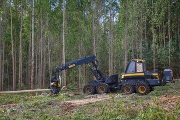 Forestry Machine Wood Harvesting logging