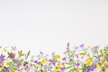 beautiful wild flowers on white background