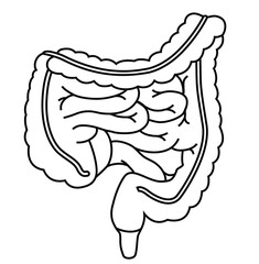 Science of  hand drawn vector human intestine coloring page.