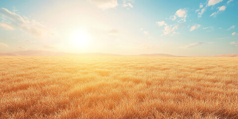 Fototapeta premium Vast Wheat Field Under a Bright Summer Sky for Agricultural Photography, Rural Landscapes, or Nature Inspiration