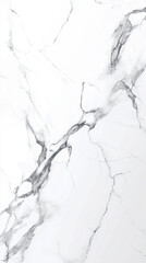 Luxurious white marble surface featuring sophisticated gray veining, presenting refined texture with natural elegance and versatile design potential for sophisticated visual compositions