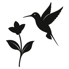 hummingbird and flower