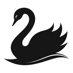 black swan vector illustration