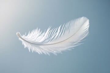 Obraz premium Single white feather suspended in air, symbolizing lightness and inner tranquility