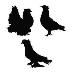 Set of pigeons black silhouettes illustration on white background Vol 05