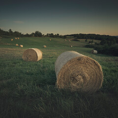 Bottes de foin au crépuscule