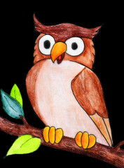 owl on branch watercolor