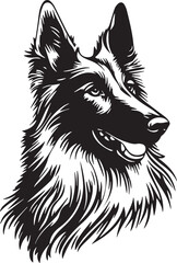 lovely belgian tervuren dog
