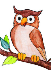 owl on branch