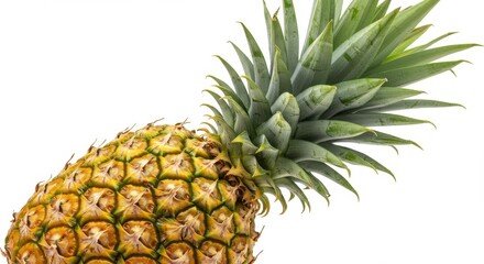 Fototapeta premium Close-up of a Fresh Pineapple with Green Crown