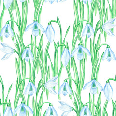Fototapeta premium Seamless pattern with watercolor snowdrop flowers, made by hand and highlighted on a white background. Illustration of a spring flower. Template for the design of postcards, banners, invitations