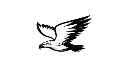 Obraz premium Black and white eagle in flight