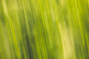 Abstract background concept, decorative lines and stripes, warm summer colors, motion blur