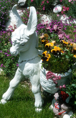 Maison, jardin , nains de jardin, pensée