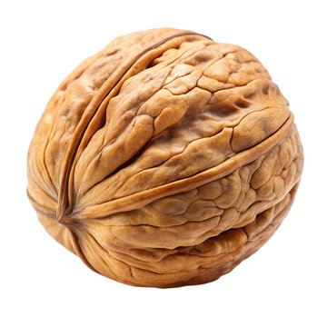 recommend clip art: walnut isolated on transparent background png