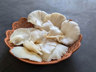 Raw Oyster mushrooms on a plastic plate on the black background. Mushrooms for vegetarian and healthy lifestyle people. Lung Oyster Mushrooms.