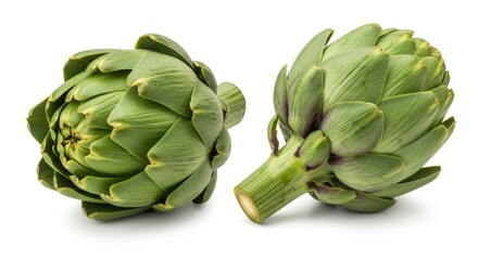 Obraz premium Two Fresh Artichokes on White Background