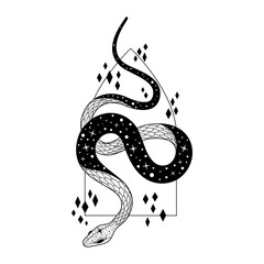 Elegant snake winding through cosmic patterns in a striking black and white design