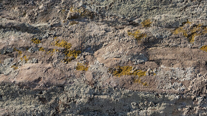 Background of a stone surface with cracks and covered with different types of moss