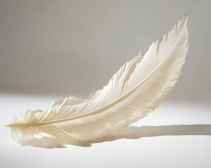Obraz premium Elegant White Feather on Simple Background with Soft Shadows