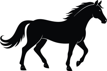 Morgan horse black silhouette,horse black vector