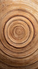 Close-up of distinct wood texture featuring rich growth rings and patterns that highlight the beauty of natural wood