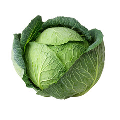 A fresh green cabbage with tightly packed leaves and visible veins on a transparent background
