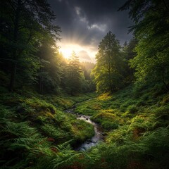 Forest Creek Sunlight: A winding creek carves its path through a dense, vibrant forest, where sunlight bursts through a break in the stormy clouds, casting a radiant glow on the lush greenery.