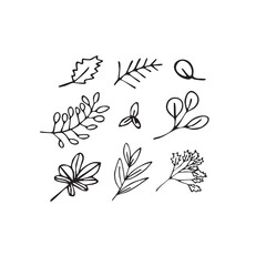 Fototapeta premium Vector illustration plants and flowers in doodle technique