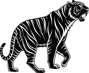Obraz premium Detailed Silhouette of a Tiger Walking with Open Mouth