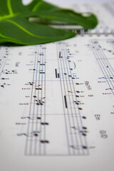 음표가 그려져있는 음악책과 소품(꽃, 식물), 아름다운 음악