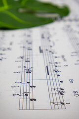 음표가 그려져있는 음악책과 소품(꽃, 식물), 아름다운 음악